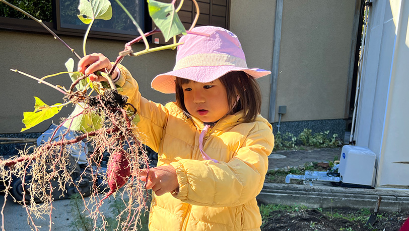園の様子をお届けいたします