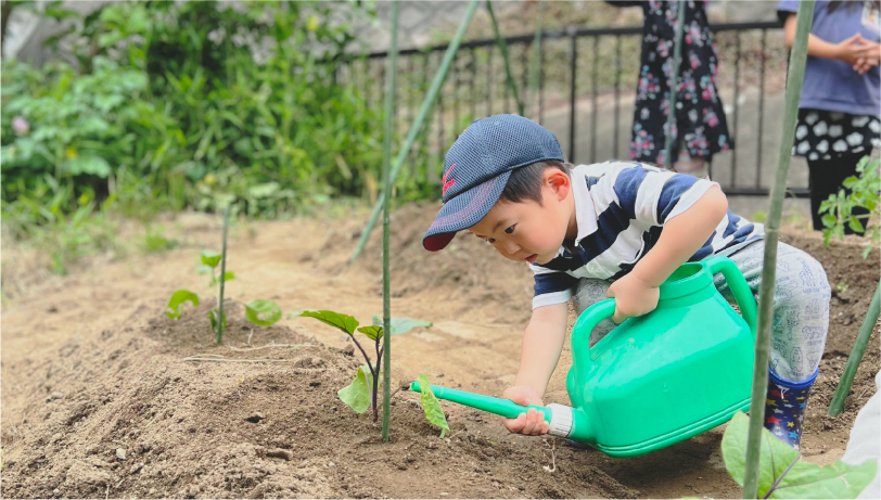 園の様子をお届けいたします